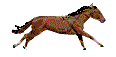 running-horse